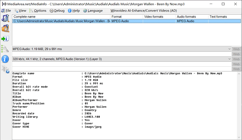 Audials One Deezer Download MediaInfo Check