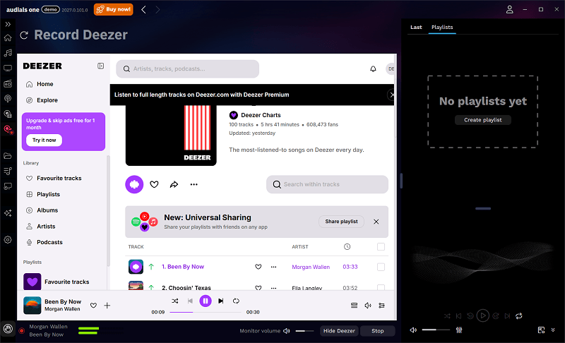 Audials One Saving Deezer Playlists