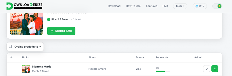 Interfaccia di download di Spotify Downloaderize