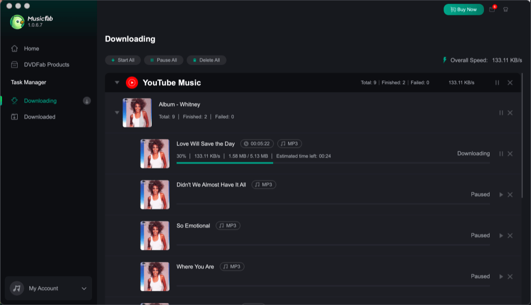 MusicFab downloading YouTube Music songs