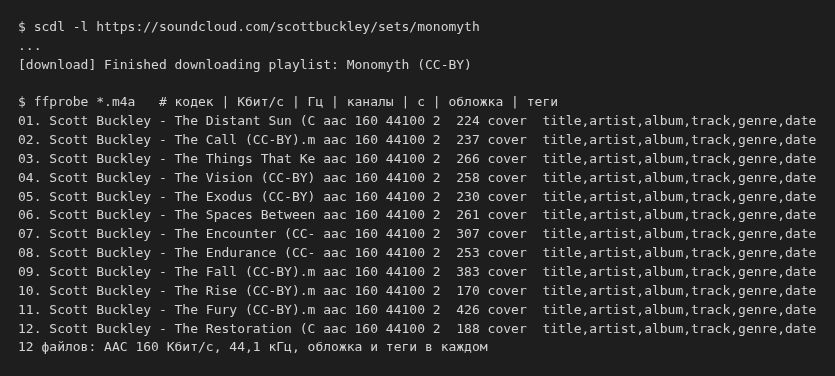 scdl скачал 12 треков плейлиста Monomyth, ffprobe показывает AAC 160 Кбит/с, тест 29 октября 2026 г.