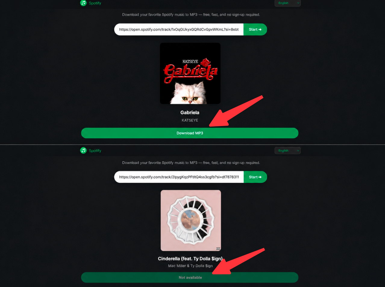 SpoDownloader showing a successful Spotify track download and a Not Available result