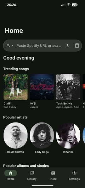 SpotiFLAC Mobile Music Library Interface