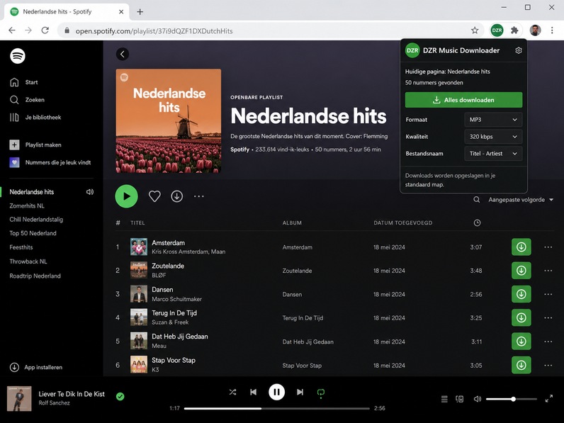 DZR Muziek Downloader