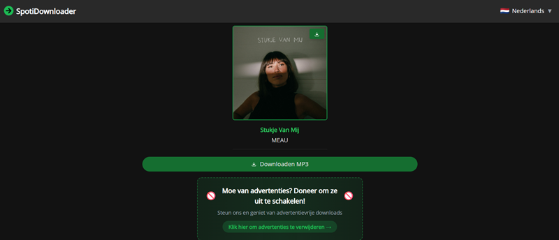 Download Spotify-nummers via SpotifyDown