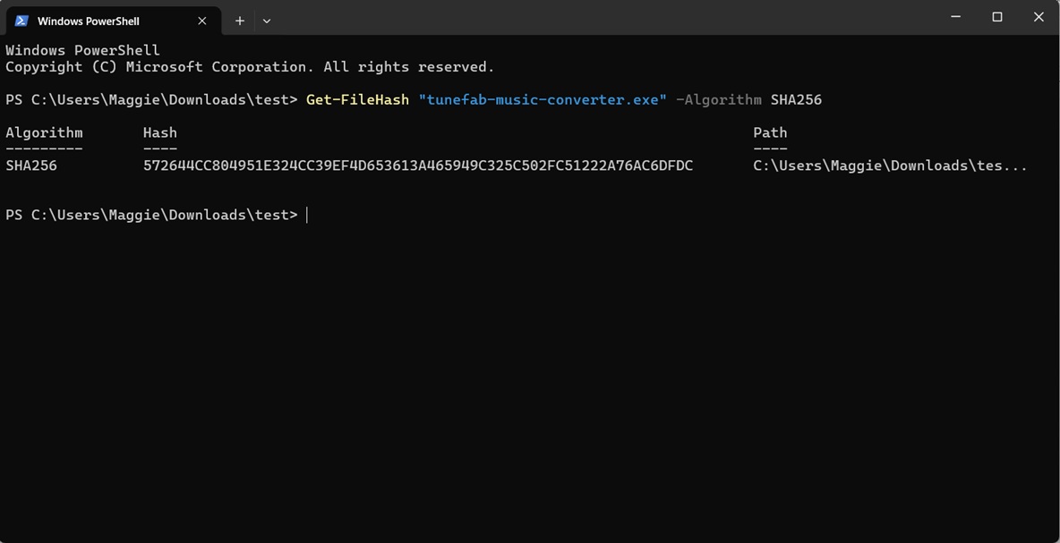 TuneFab Installer Hash