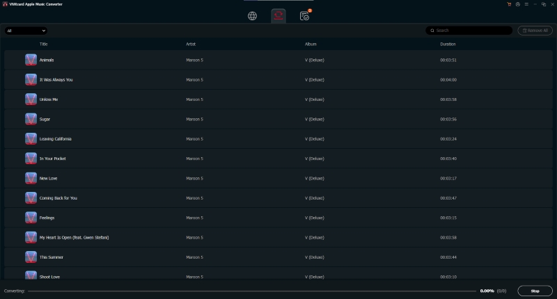 ViWizard Apple Music Converter Album Conversion Testing Interface
