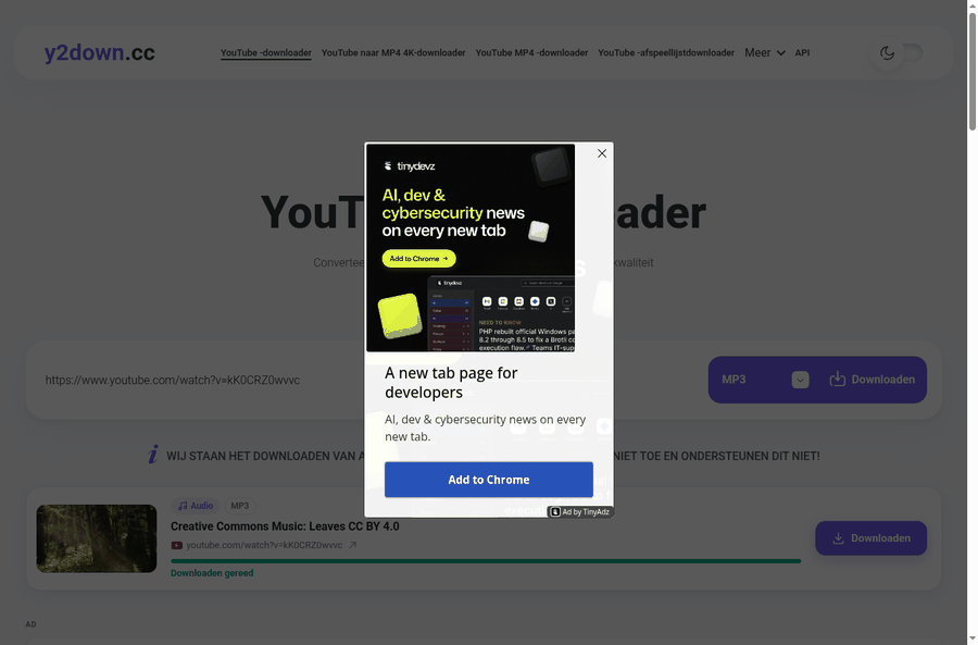 y2down met een TinyAdz-advertentie over de pagina tijdens de test op 29 oktober 2026